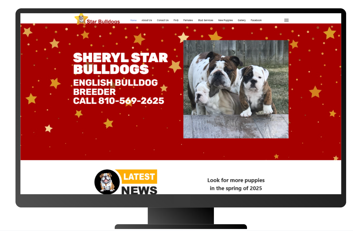 Website Design Quote | Certified Business Solutions | Michigan | AI SEO Website Design | Website Development | Get Website Design Quote | Michigan | AI SEO